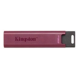 Kingston Pendrive Kingston DataTraveler Max 256GB USB 3.2 Gen 2