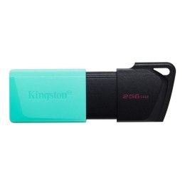 Kingston Pendrive Kingston DataTraveler Exodia M 256GB USB 3.2 Gen 1