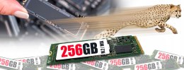 MARKOWY DYSK SSD 256GB M.2 DO LAPTOPA KOMPUTERA