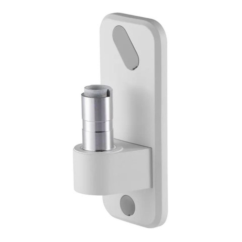 Neomounts B.V. Adapter ścienny do uchwytu Neomounts AWL75-450WH