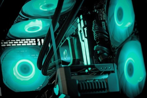 Actina View 9900X3D/64GB/2TB/RTX5090/1000W/W11H