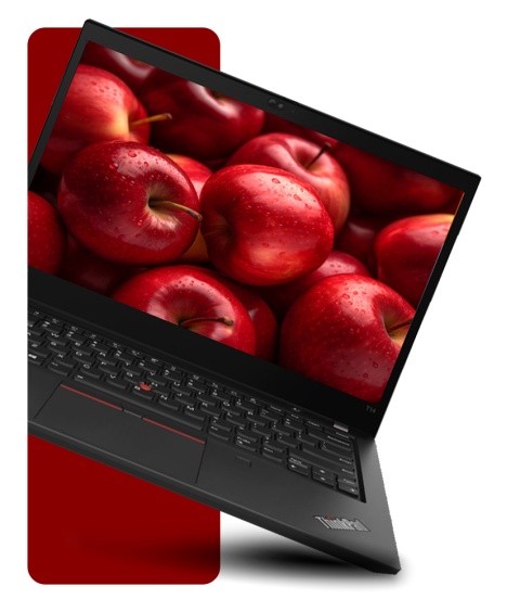 Laptop Lenovo ThinkPad T14 Gen 2 i7 16GB RAM 1TB SSD 14" Full HD GeForce MX450 powystawowy