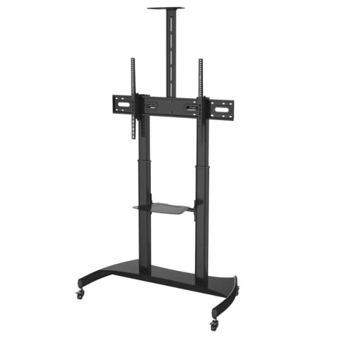Neomounts B.V. Stojak podłogowy PLASMA-M1950EBLACK Neomounts 60"-100" 100kg