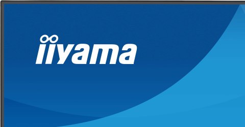 MONITOR IIYAMA LED 23,8" X2491H-B1 120Hz