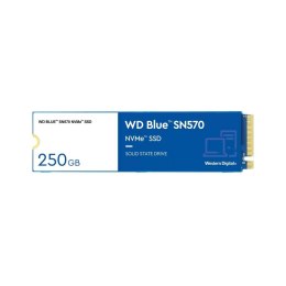 Western Digital Dysk SSD WD Blue SN570 250GB M.2 2280 PCIe NVMe (3300/1200 MB/s) WDS250G3B0C